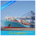 best freight forwarder to Punta Arenas from Guangzhou--- ada skype:colsales10